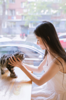 叔公和侄媳妇的爱情对人类的影响